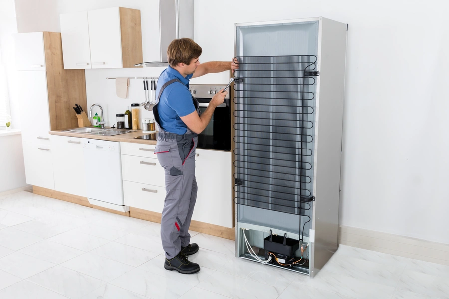 Troubleshooting Refrigerator Noises Before Calling For Repair New Port Richey FL